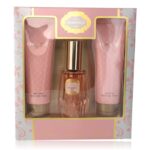 Chantilly by Dana, 3 Piece Set for Women
